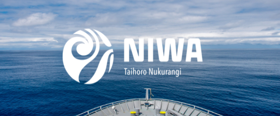 NIWA NZODN fixed555wide2